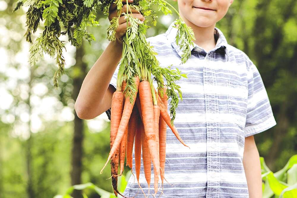 Caucasian boy holding carrots in garden