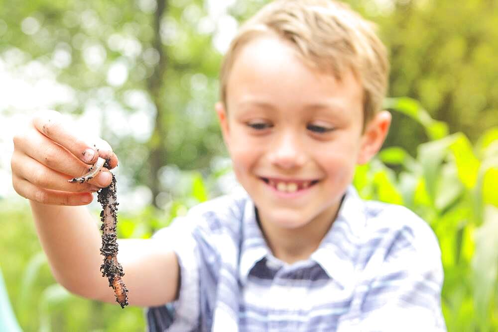 Caucasian boy examining worm