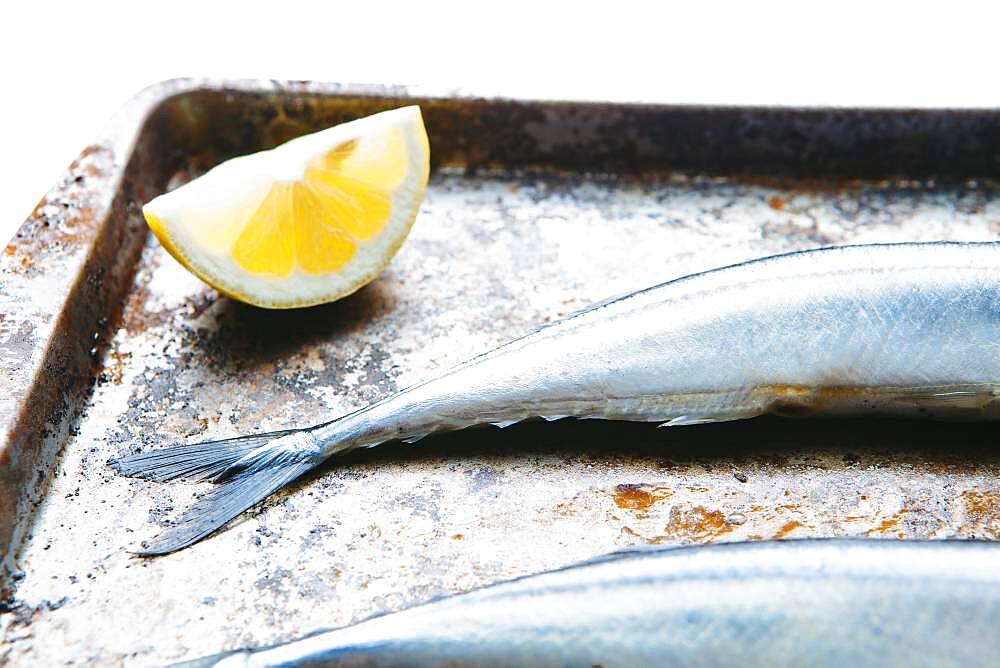 Close up of lemon and fish on baking sheet