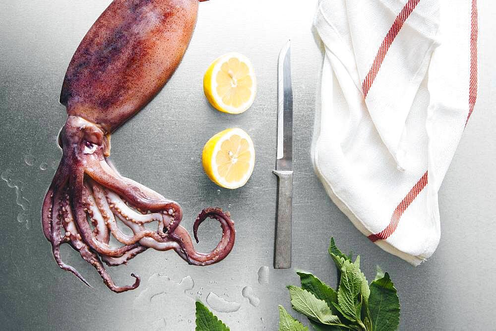 Squid, lemon and herbs on metal tabletop