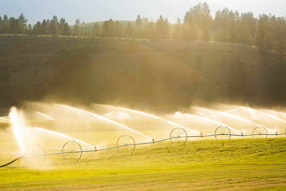 Irrigation system watering crops in farm field