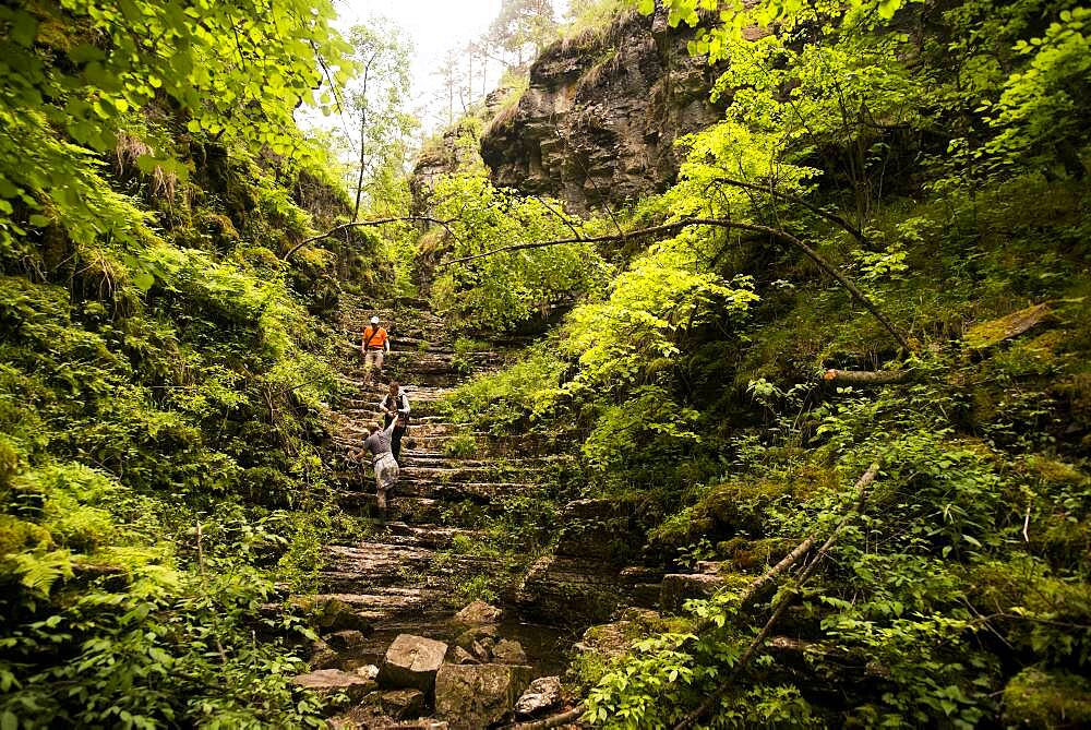 Hiker climbing rocks in forest