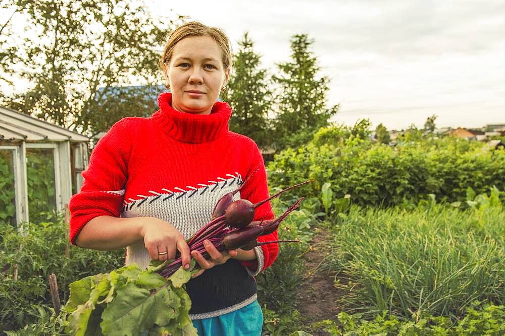 Caucasian farmer holding fresh beets in garden