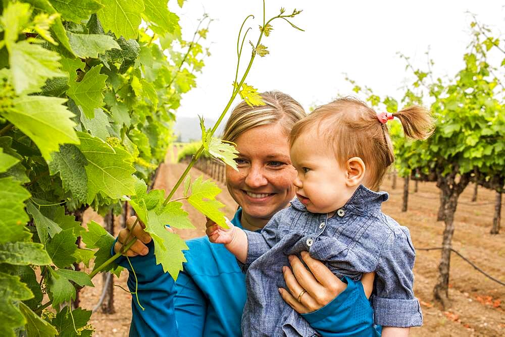 Caucasian mother and daughter admiring vine in vineyard