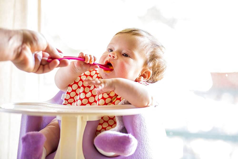 Caucasian baby girl eating from spoon in high chair