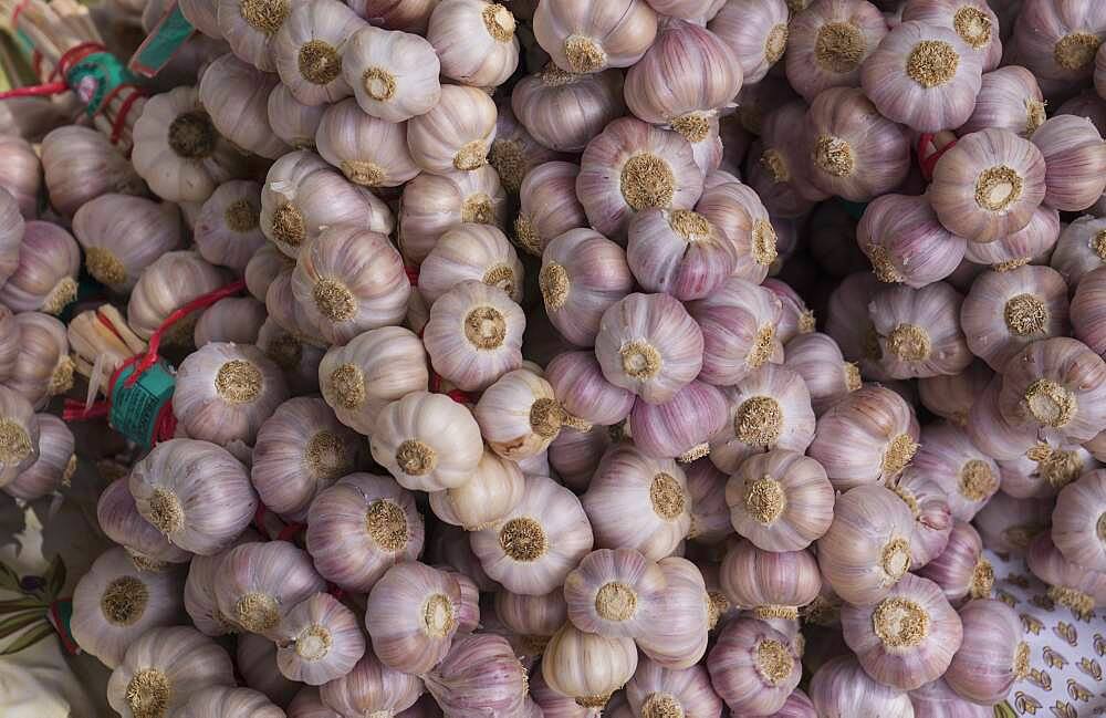 Close up of pile of garlic bulbs