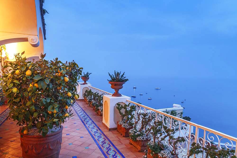 Plants on balcony overlooking seascape