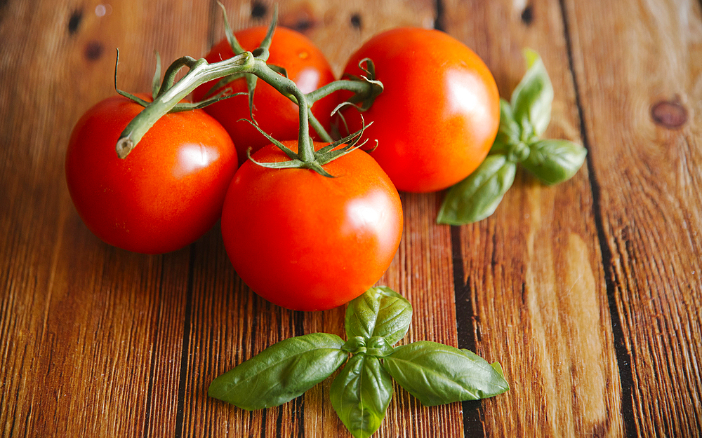 Tomatoes on vine with basil leaf