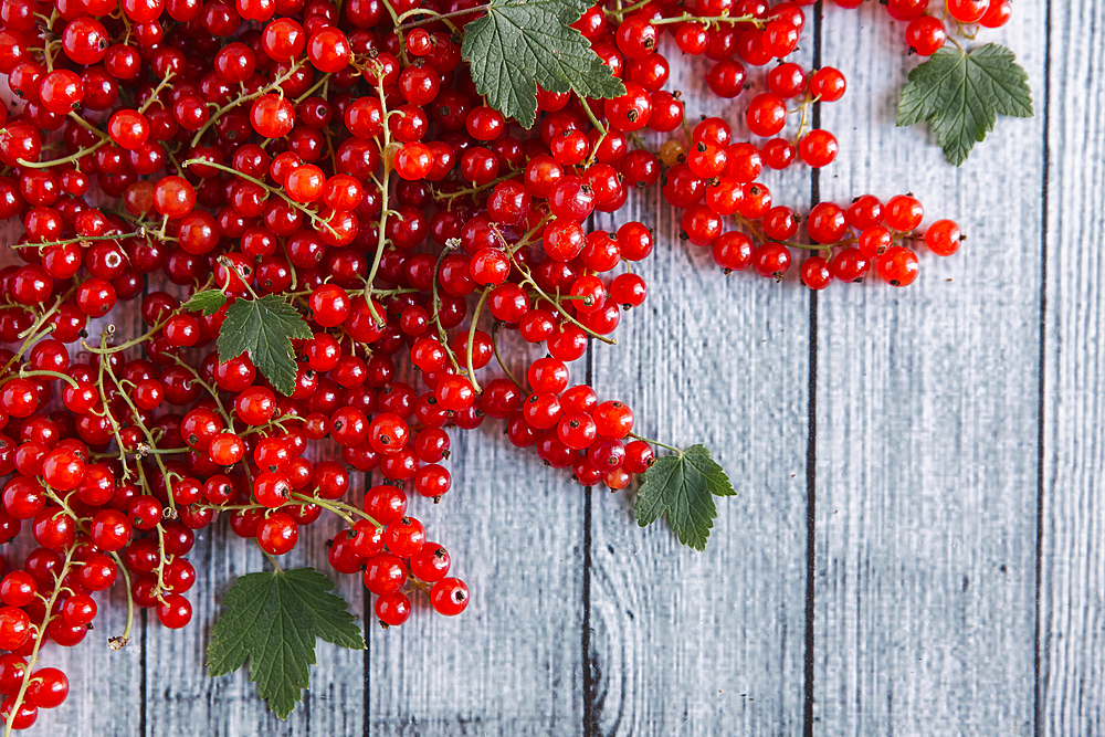 Red berries and leaves on table