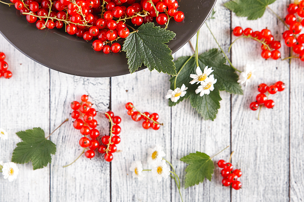 Red berries and leaves on table with flowers