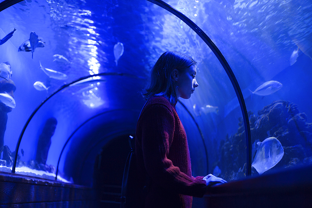 Caucasian woman admiring fish in aquarium