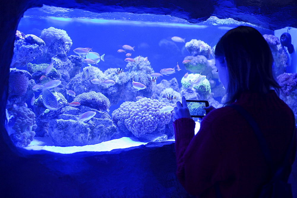 Caucasian woman photographing fish in aquarium