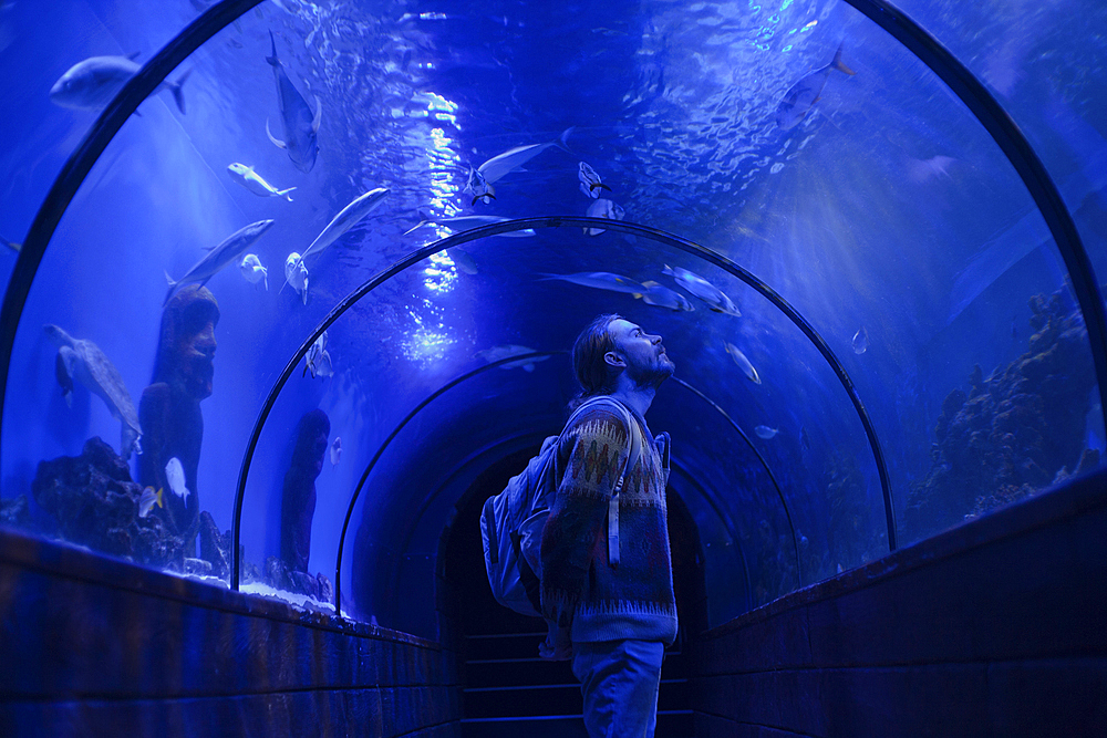 Caucasian man admiring fish in aquarium