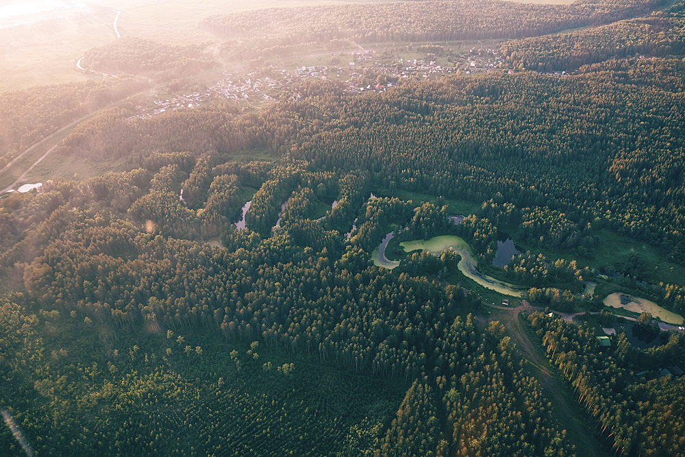 Aerial view of river and trees