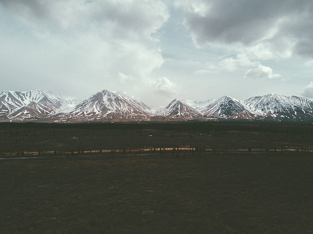 Field near snowy mountain range