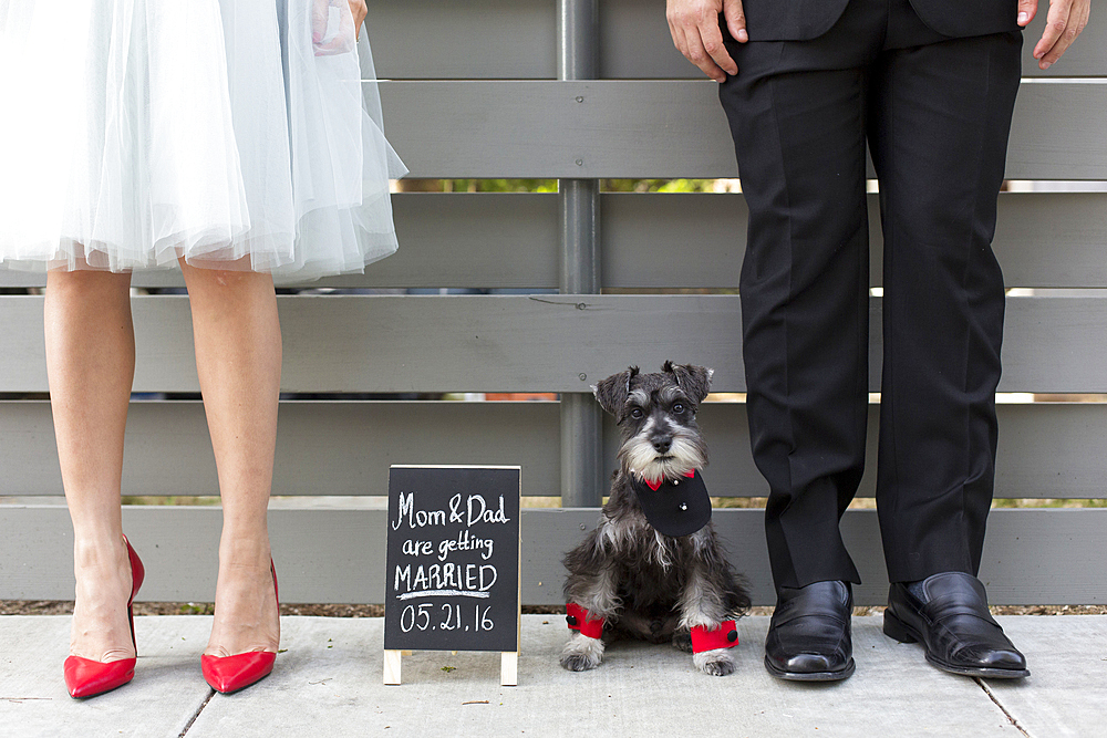 Couple with dog near wedding announcement