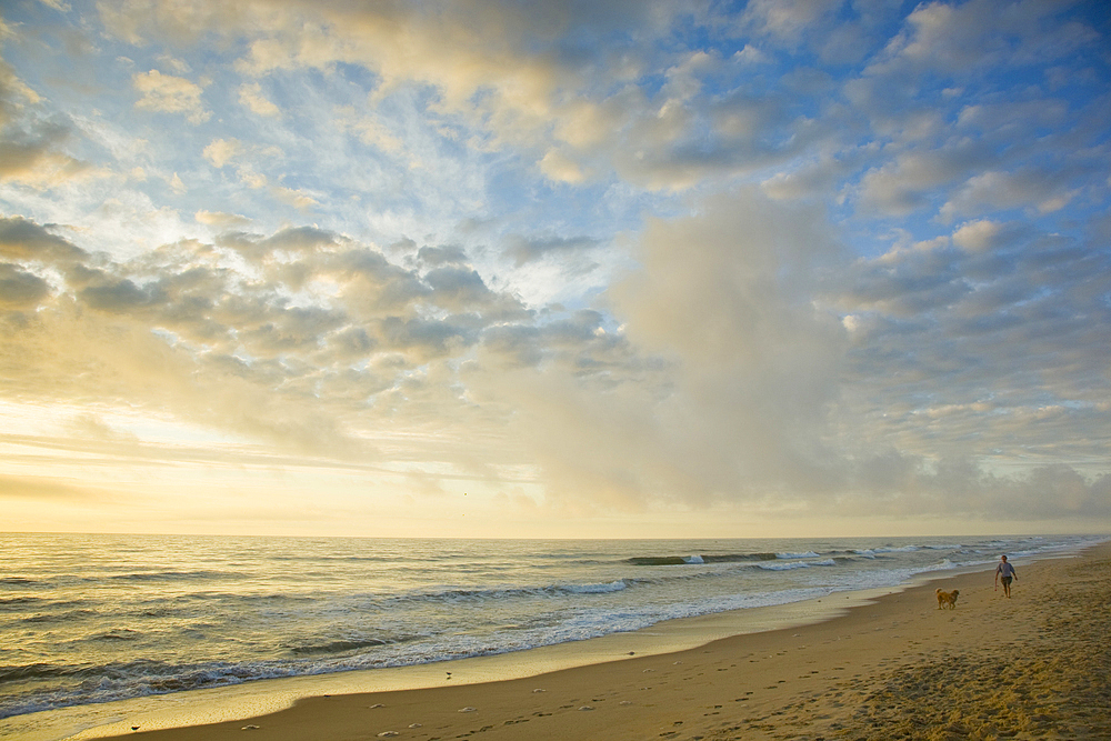 Man and dog on ocean beach at sunset