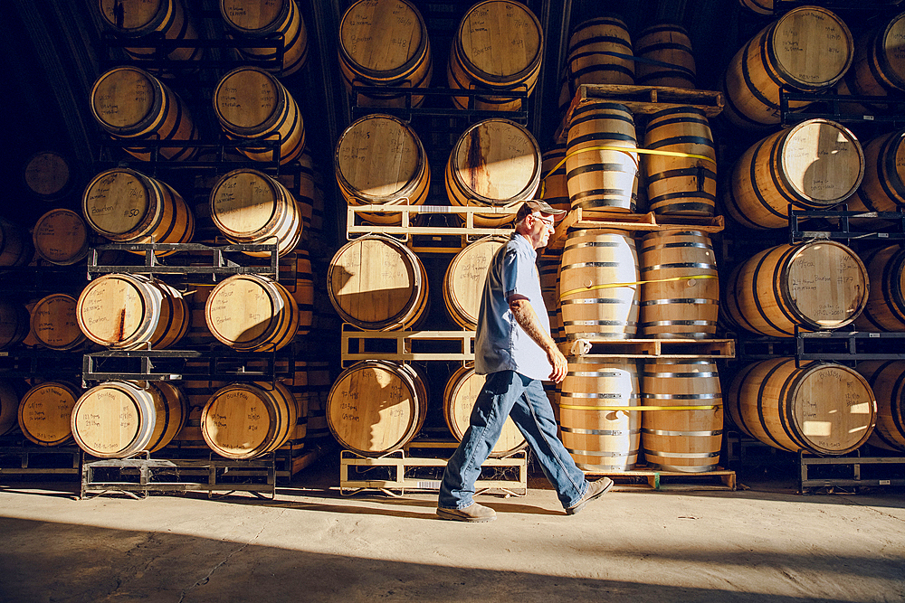 Caucasian man walking near barrels in distillery