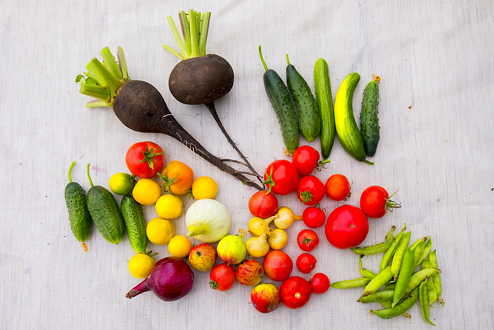 Variety of vegetables on table