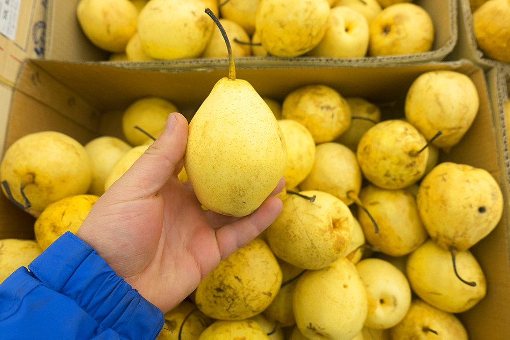 Hand holding yellow pear