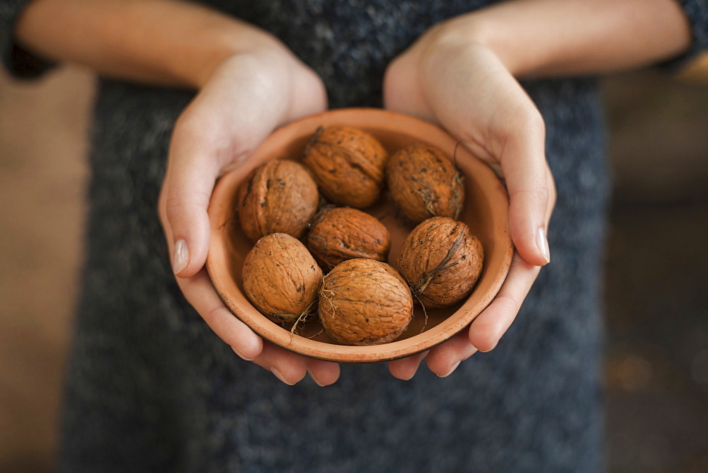 Hands holding bowl of walnuts