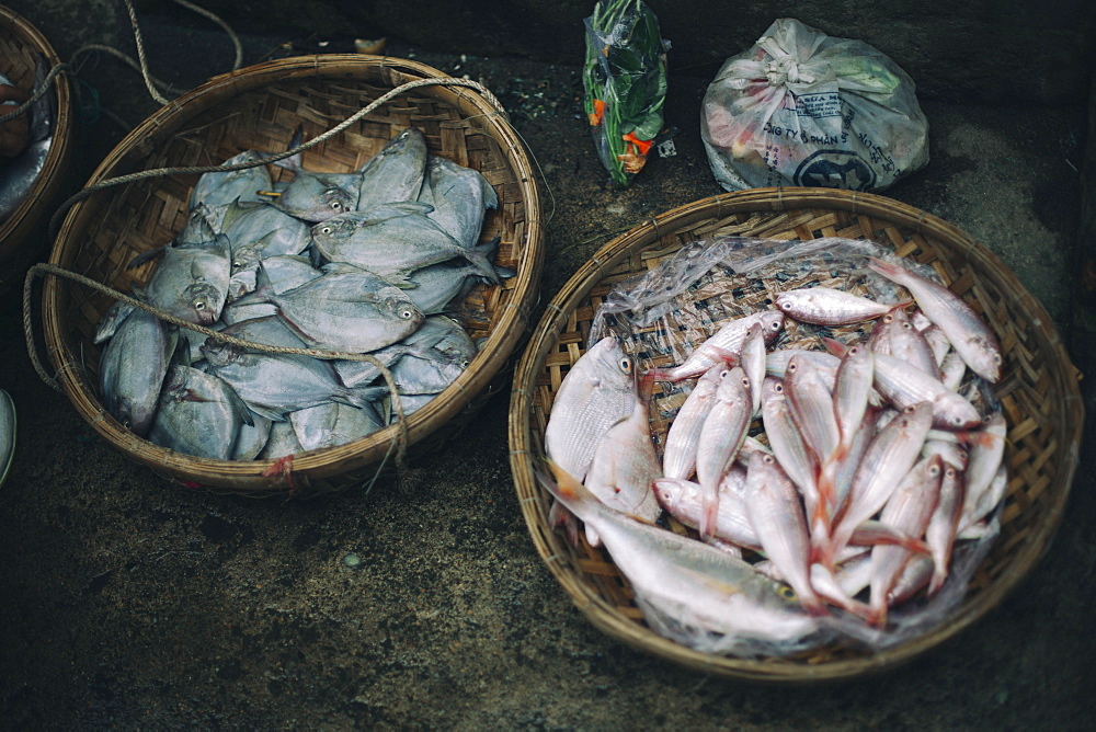 Baskets of fish