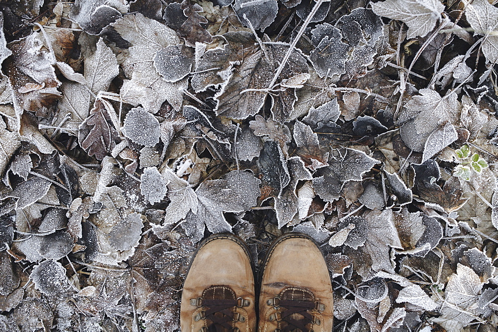 Boots standing on leaves covered with frost