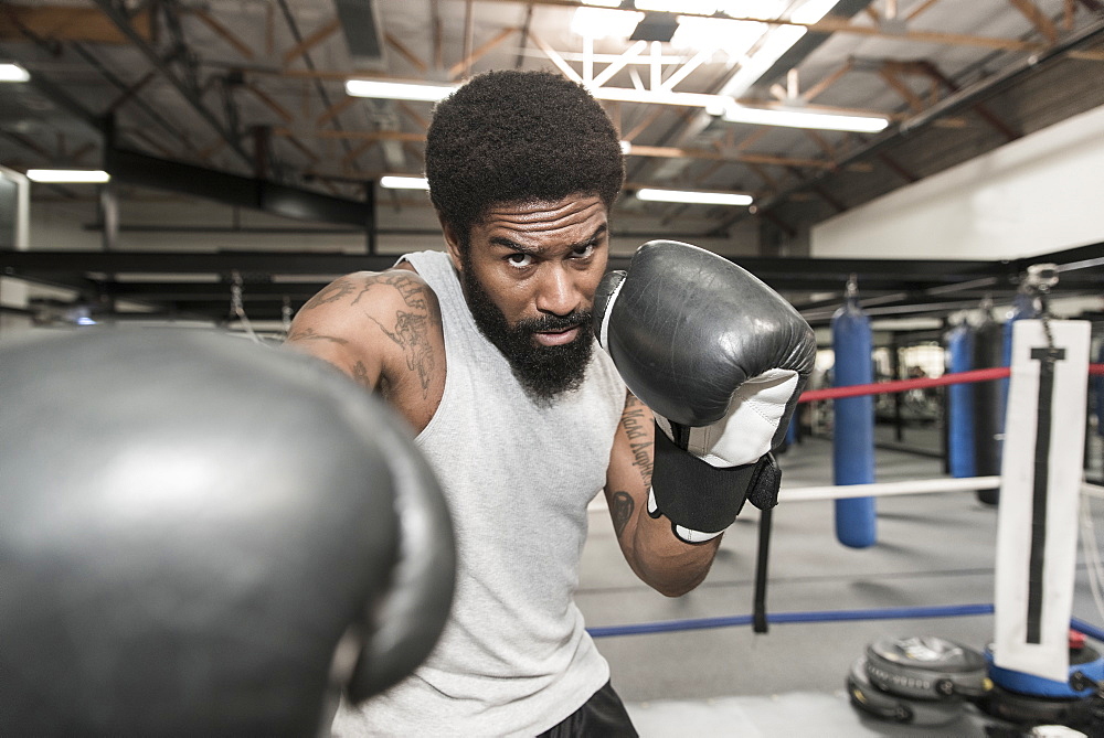 Black man posing in boxing ring