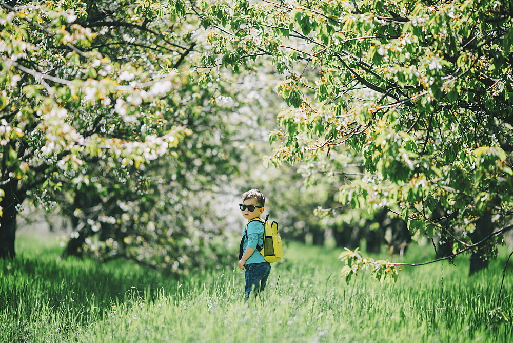 Caucasian boy wearing sunglasses and backpack in grass