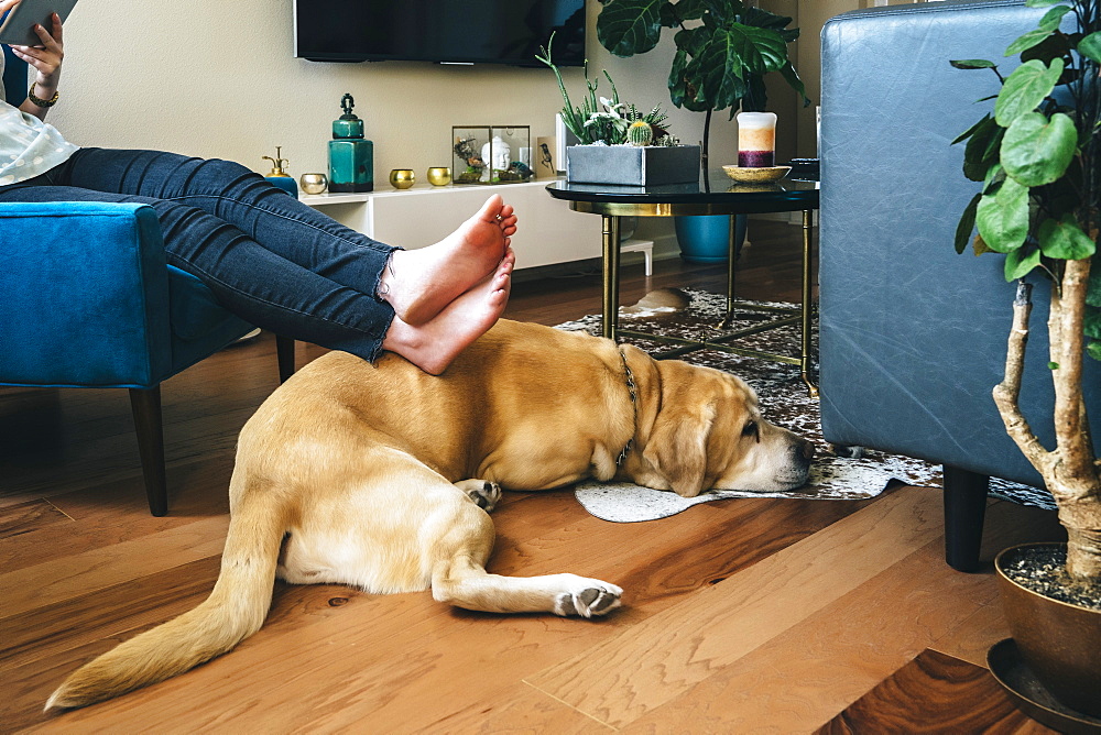 Woman sitting in armchair resting feet on dog