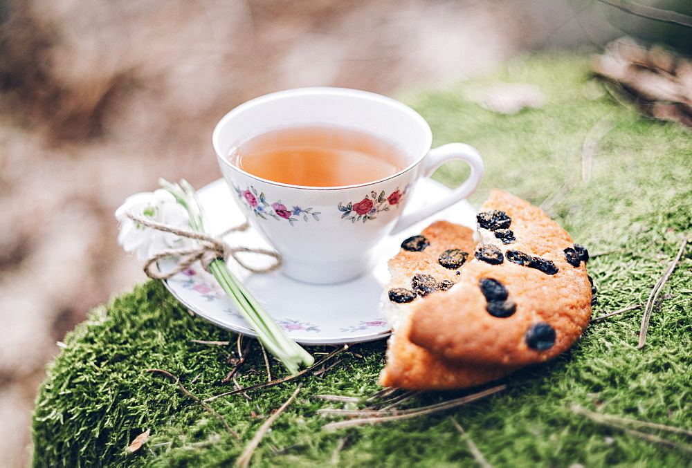 Close up of tea and cookies on moss