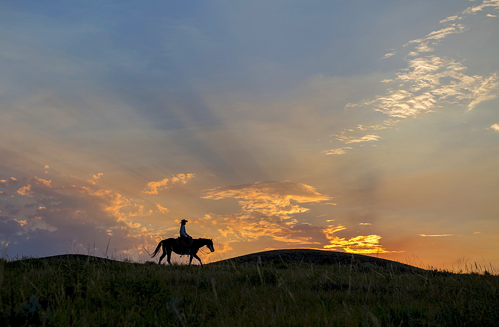 Silhouette of Caucasian woman riding horse at sunset