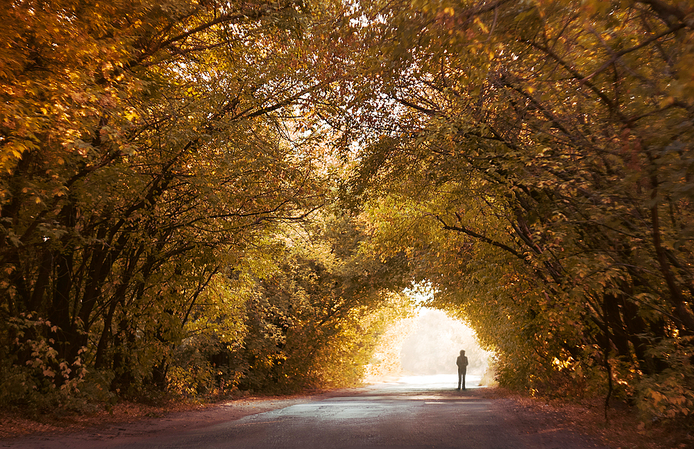 Silhouette of distant Caucasian boy standing under tree canopy