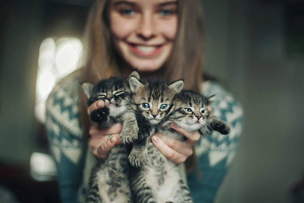 Caucasian woman holding kittens