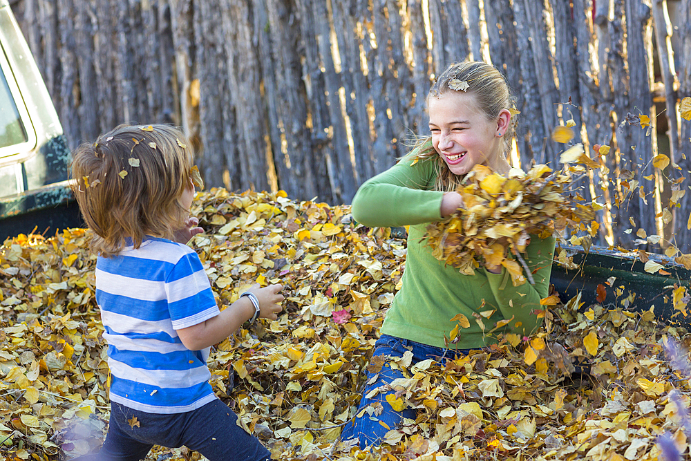 Caucasian brother and sister throwing autumn leaves