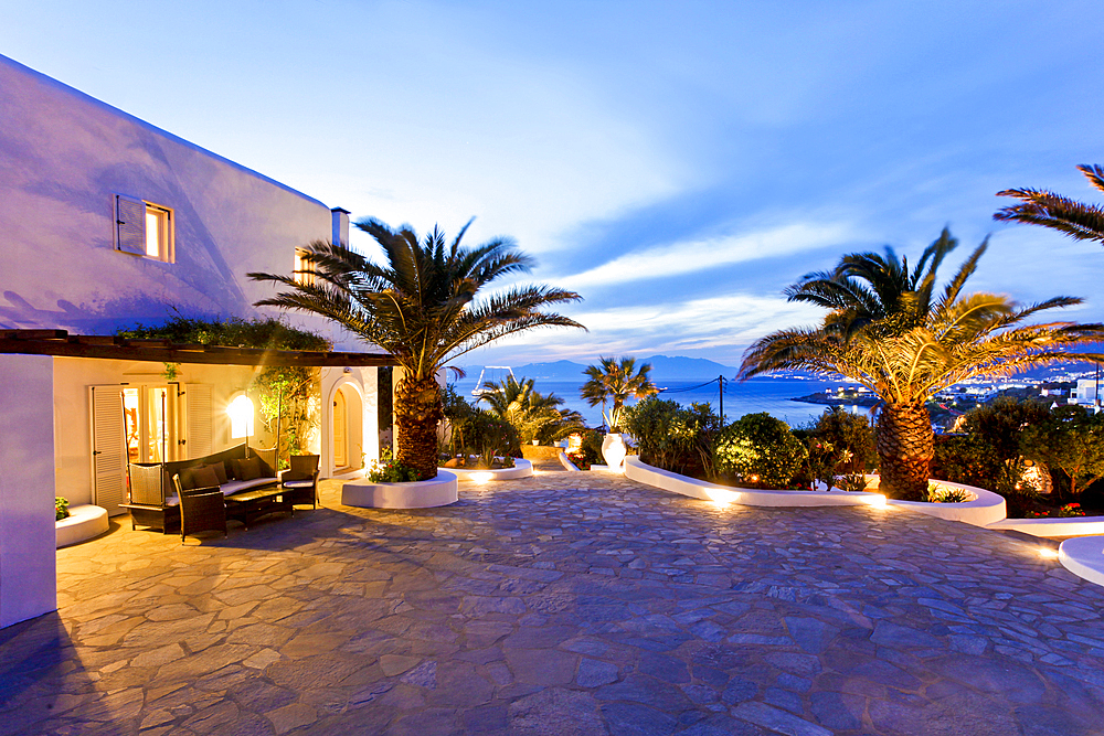 Palm trees on stone patio at sunset