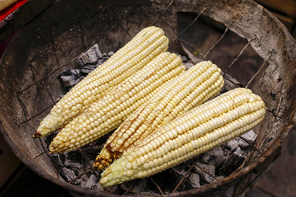 Corn cobs on grille