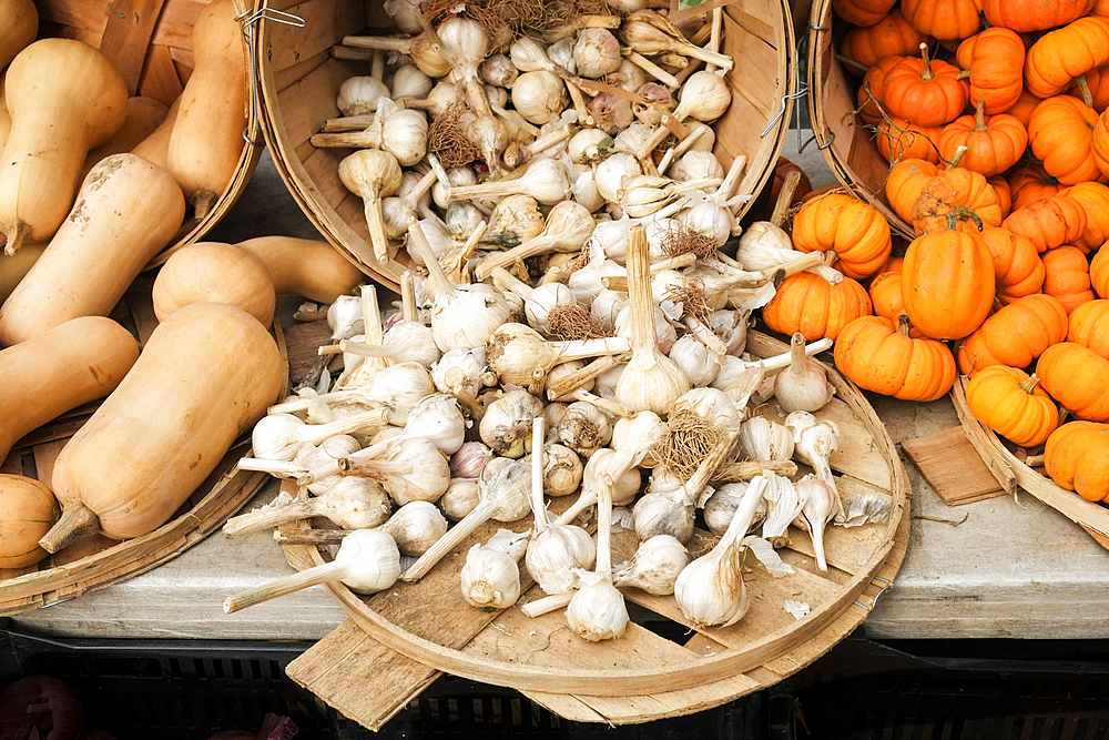 Garlic, miniature pumpkins and squash at market