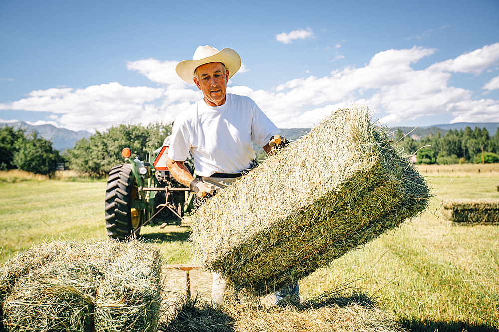 Caucasian farmer in field lifting bale of hay