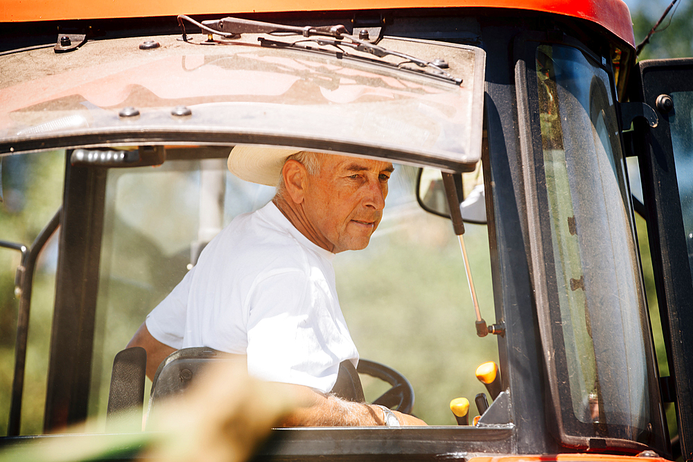 Caucasian farmer driving tractor