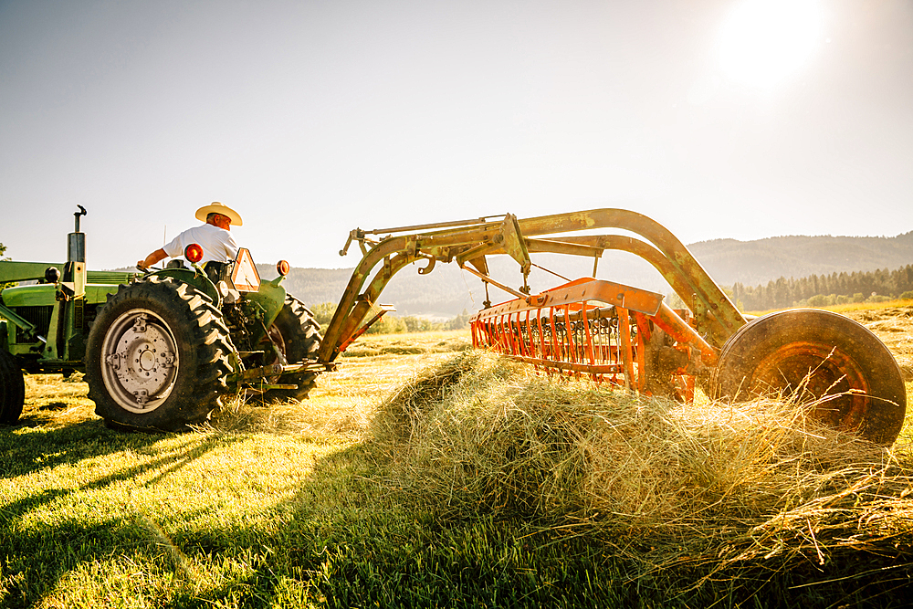 Caucasian farmer driving tractor