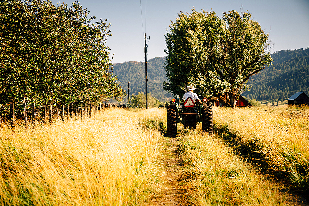 Caucasian farmer riding tractor