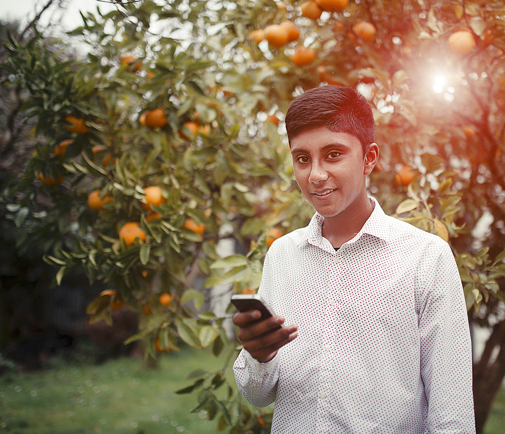 Fiji Indian boy texting on cell phone in orchard