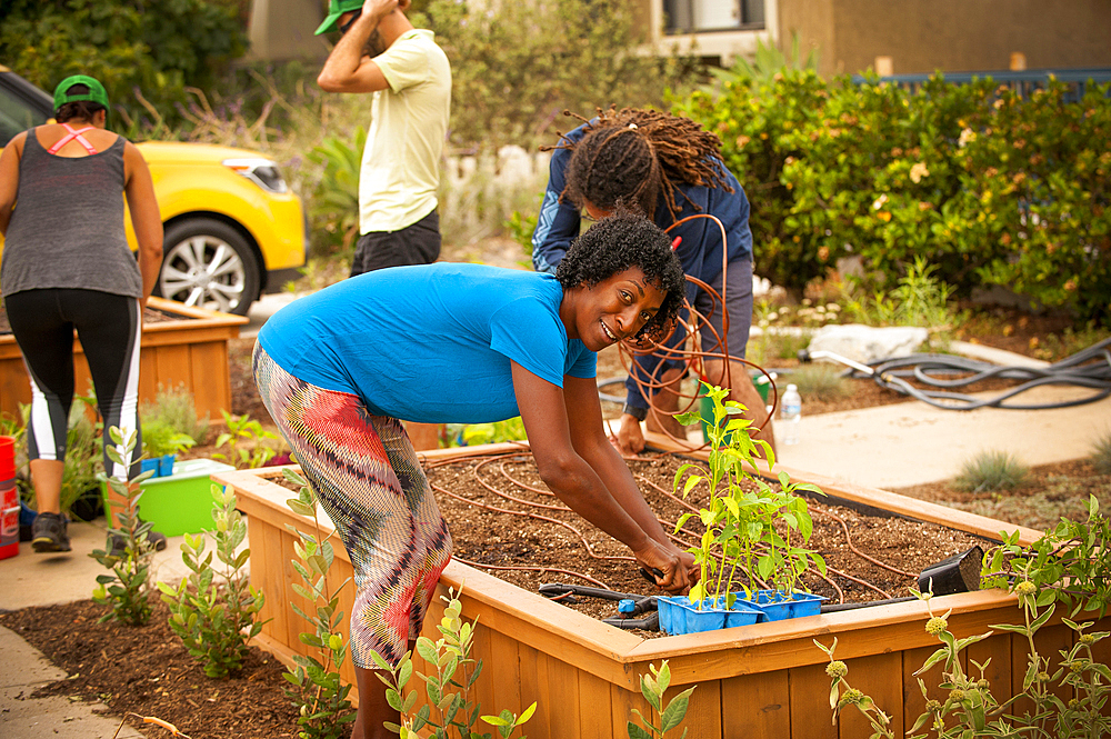 Neighbors planting in raised garden