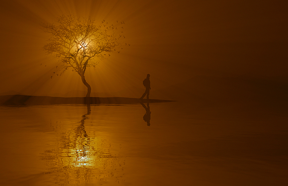 Silhouette of woman and tree near river at sunset