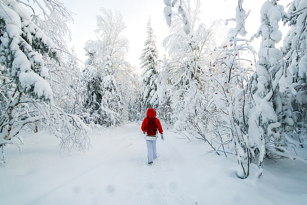 Caucasian woman hiking in snowy forest