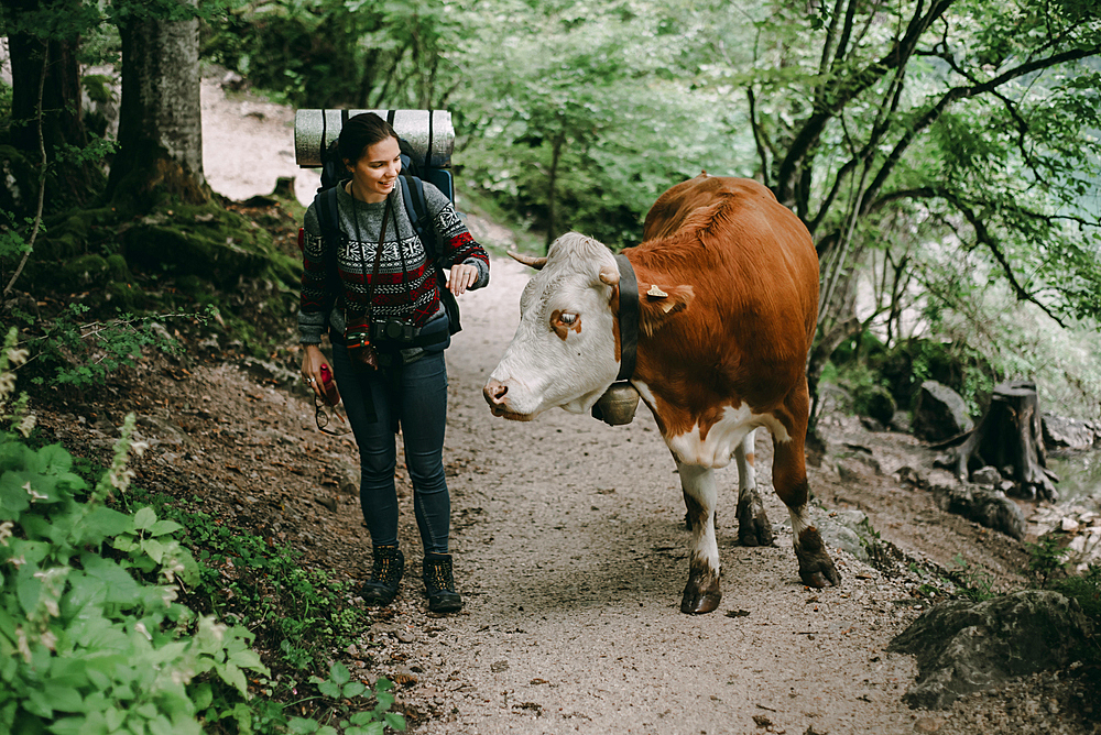 Caucasian woman on forest path with bull