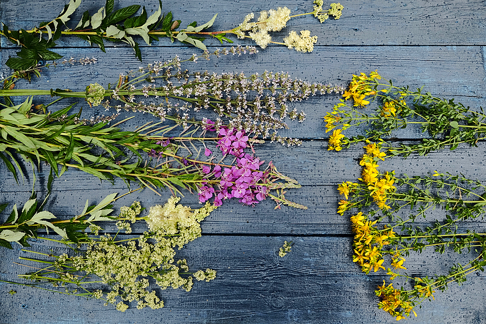 Multicolor flowers laying on wooden table