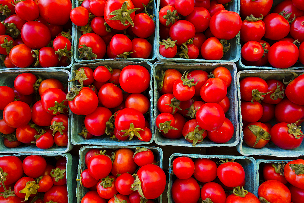 Containers of tomatoes