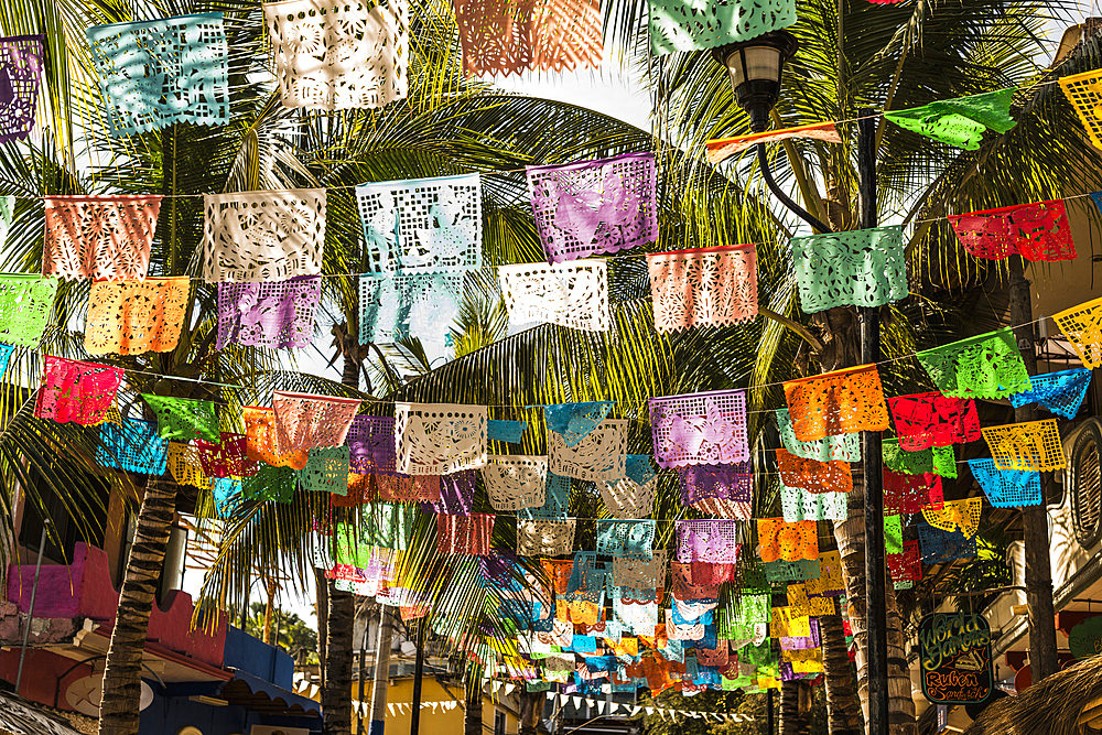 Multicolor flags under palm trees